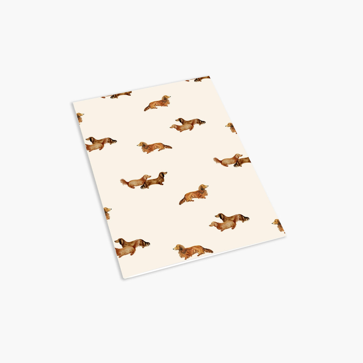 Long-Haired Dachshunds - 10-pack Notecards